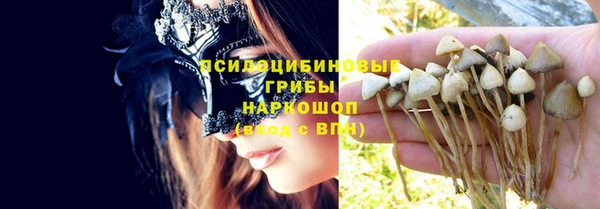 спайс Аркадак